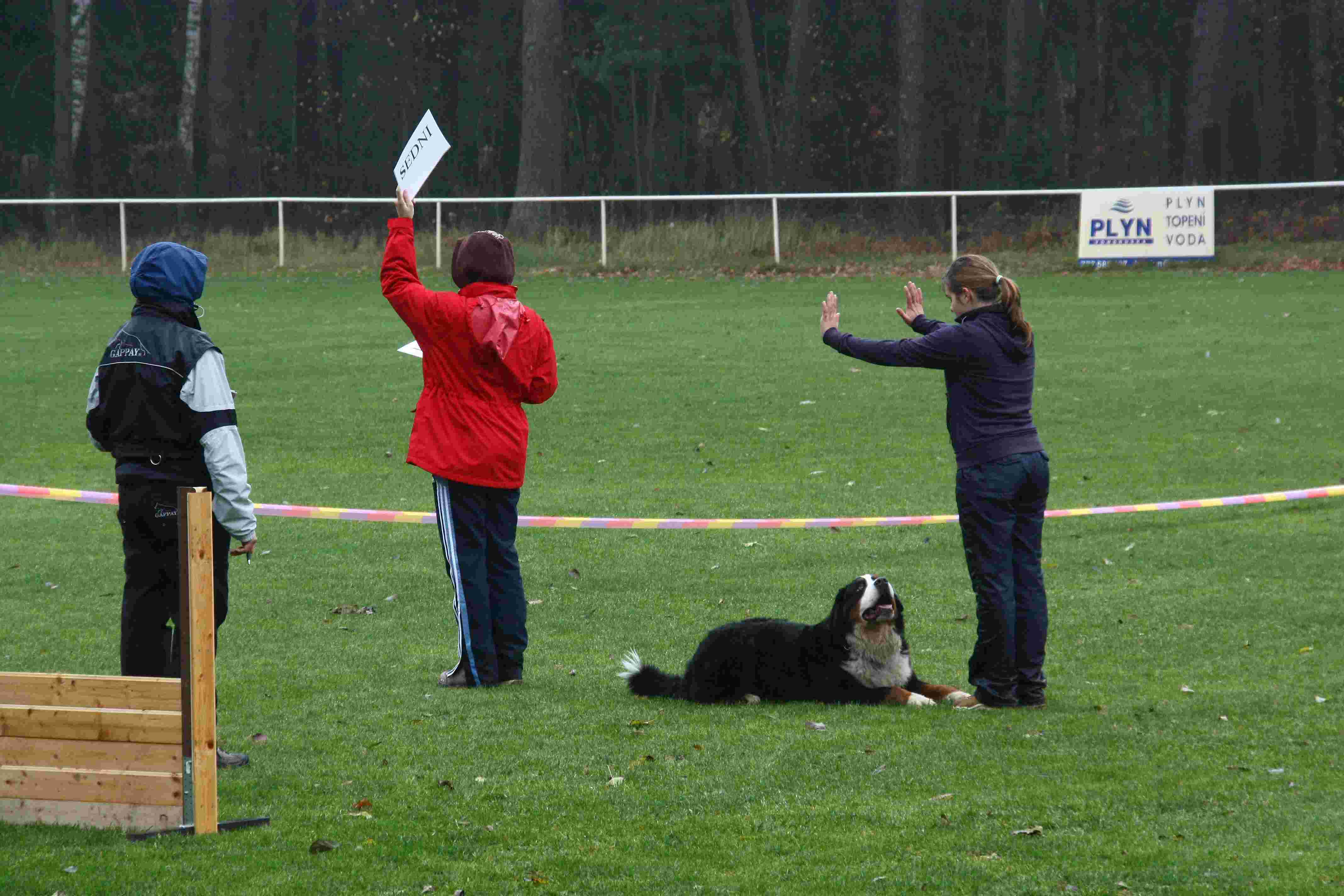 Obedience 17.11.2009 Petrovice 056.jpg